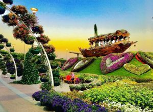 Visit Dubai Miracle Garden with 2 way transfers
