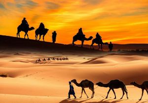 DUBAI SUNSET CAMEL TREKKING WITH BBQ DINNER AND SHOWS